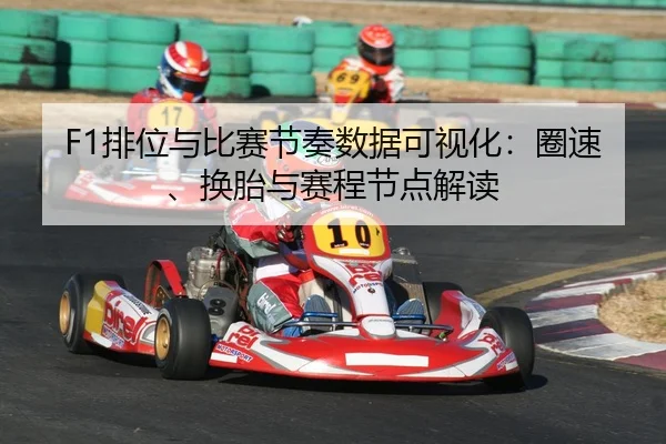 F1排位与比赛节奏数据可视化：圈速、换胎与赛程节点解读