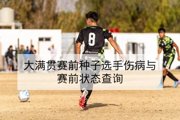 大满贯赛前种子选手伤病与赛前状态查询